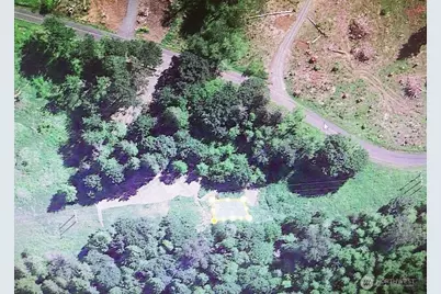 421 Young Road, Mossyrock, WA 98564 - Photo 3