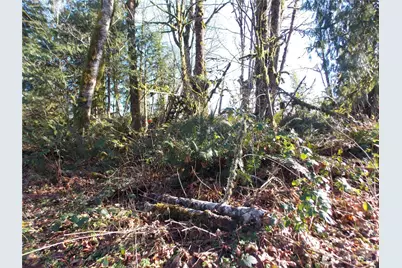 421 Young Road, Mossyrock, WA 98564 - Photo 27