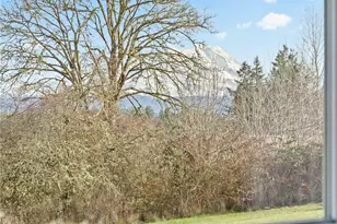 2313 420th St E, Eatonville, WA 98328 - Photo 29