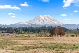 2313 420th St E, Eatonville, WA 98328 - Photo 3