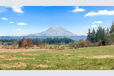 2313 420th Street E, Eatonville, WA 98328 - Photo 17