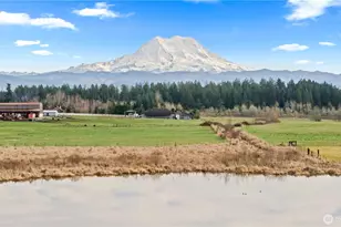 2313 420th St E, Eatonville, WA 98328 - Photo 25