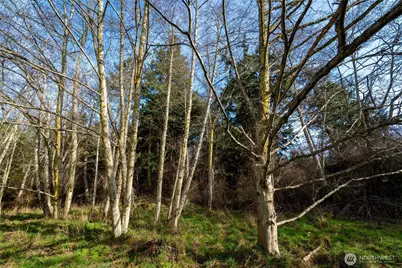 2198 Cecil Lane, Coupeville, WA 98239 - Photo 13