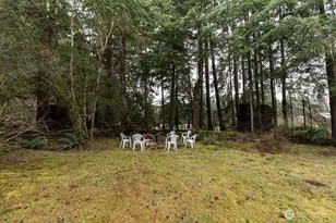 1331 Bogachiel Way, Forks, WA 98331 - Photo 9