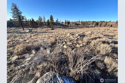 372 C Cameron Lake Loop Road, Okanogan, WA 98840 - Photo 3