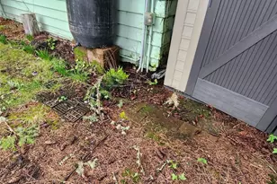 714 Pasadena Ave, Tacoma, WA 98466 - Photo 9