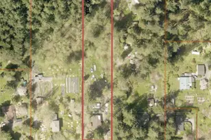 11828 Cove Road SW, Vashon, WA 98070 - Photo 37