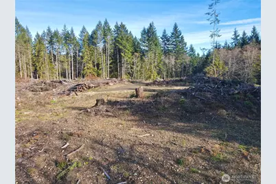 250 E Solbakkvein Road, Shelton, WA 98584 - Photo 29