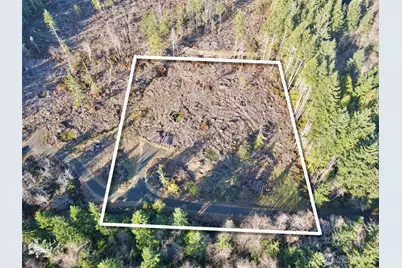 250 E Solbakkvein Road, Shelton, WA 98584 - Photo 15