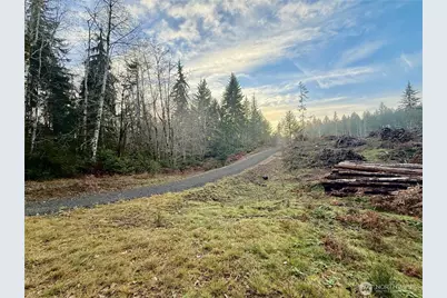 250 E Solbakkvein Road, Shelton, WA 98584 - Photo 3