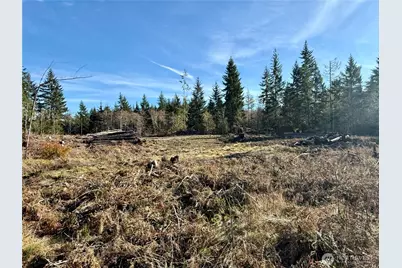 250 E Solbakkvein Road, Shelton, WA 98584 - Photo 27