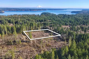 250 E Solbakkvein Rd, Shelton, WA 98584 - Photo 1