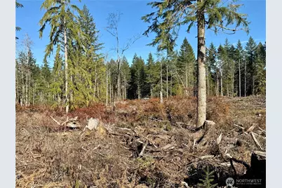 260 E Solbakk Veien Road, Shelton, WA 98584 - Photo 13