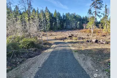 260 E Solbakk Veien Road, Shelton, WA 98584 - Photo 19