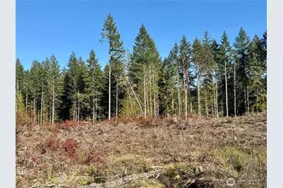 260 E Solbakk Veien Road, Shelton, WA 98584 - Photo 17