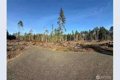 260 E Solbakk Veien Road, Shelton, WA 98584 - Photo 11