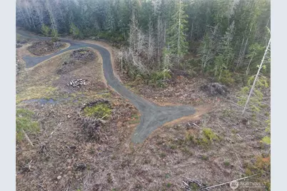 260 E Solbakk Veien Road, Shelton, WA 98584 - Photo 3