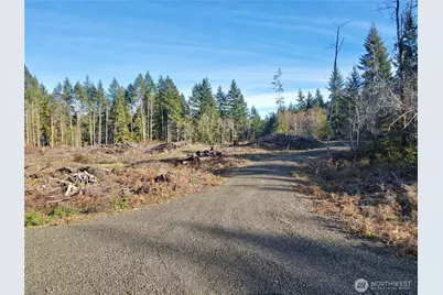 260 E Solbakk Veien Road, Shelton, WA 98584 - Photo 9