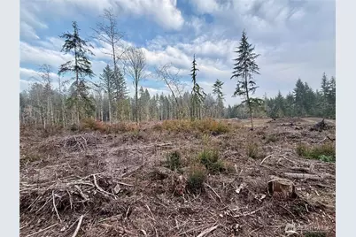 260 E Solbakk Veien Road, Shelton, WA 98584 - Photo 31