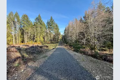 260 E Solbakk Veien Road, Shelton, WA 98584 - Photo 1