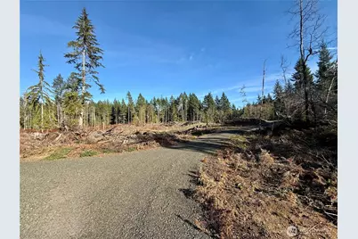 260 E Solbakk Veien Road, Shelton, WA 98584 - Photo 25