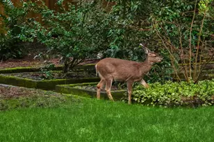 32905 174th Pl SE, Auburn, WA 98092 - Photo 31