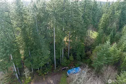 0 Satsop Avenue, Shelton, WA 98584 - Photo 9
