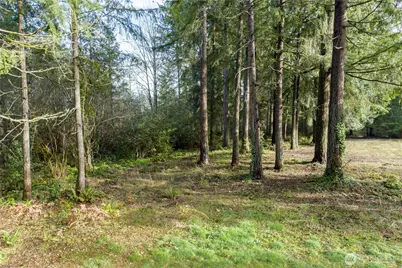 0 Satsop Avenue, Shelton, WA 98584 - Photo 11