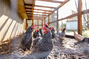 22398 Grip Rd, Sedro Woolley, WA 98284 - Photo 29