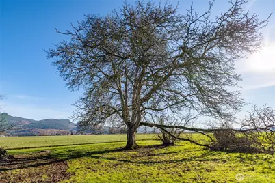 19653 Cedardale Road, Mount Vernon, WA 98274 - Photo 33