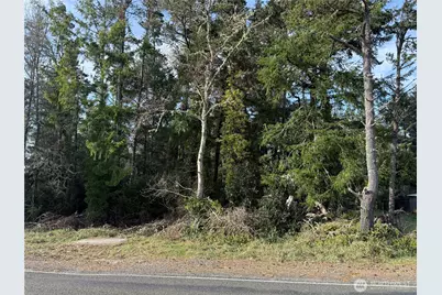 0 U Street, Ocean Park, WA 98640 - Photo 1