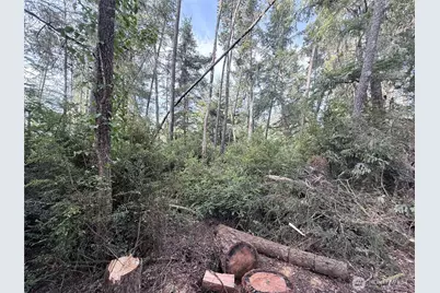 0 U Street, Ocean Park, WA 98640 - Photo 3