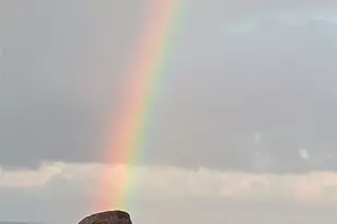 2991 Kindred Ave, Tokeland, WA 98590 - Photo 29