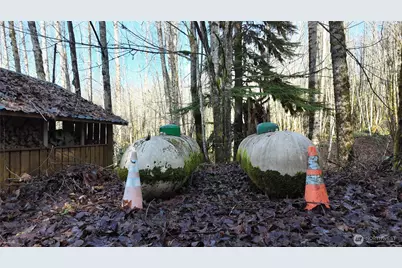 46824 Everett Lake Rd, Concrete, WA 98237 - Photo 33