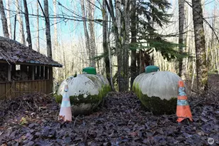 46824 Everett Lake Rd, Concrete, WA 98237 - Photo 33