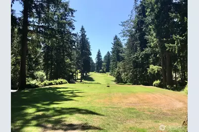 11825 112th Avenue, Anderson Island, WA 98303 - Photo 7