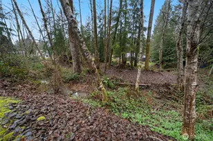 321 Rollingwood Rd, Kelso, WA 98626 - Photo 35