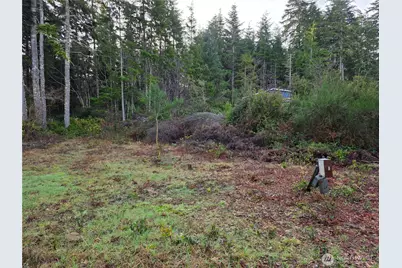 3011 202nd Street, Ocean Park, WA 98640 - Photo 7