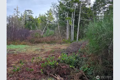 3011 202nd Street, Ocean Park, WA 98640 - Photo 3