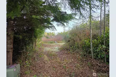 3011 202nd Street, Ocean Park, WA 98640 - Photo 1