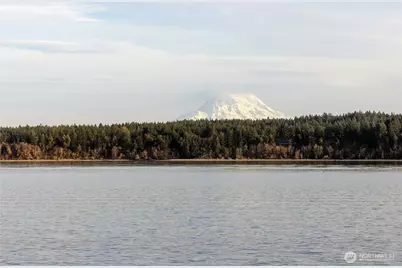 8007 162nd Avenue SW, Longbranch, WA 98351 - Photo 39