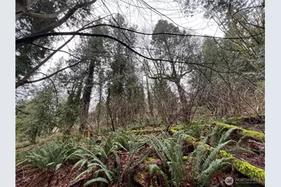 25 Roosevelt Road, Point Roberts, WA 98281 - Photo 5