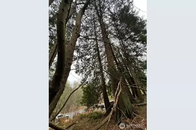 25 Roosevelt Road, Point Roberts, WA 98281 - Photo 7