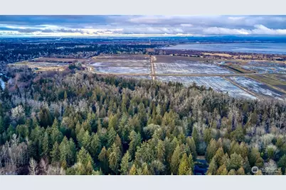 25 Roosevelt Road, Point Roberts, WA 98281 - Photo 11