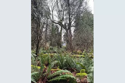 25 Roosevelt Road, Point Roberts, WA 98281 - Photo 3