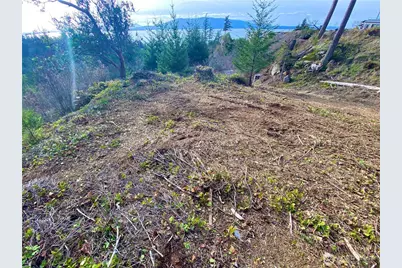 417 Arbutus Place, Bellingham, WA 98225 - Photo 11