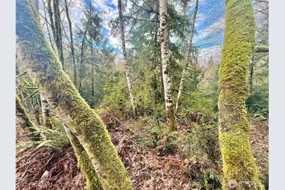 705 E Colonel Wright Road, Shelton, WA 98584 - Photo 31