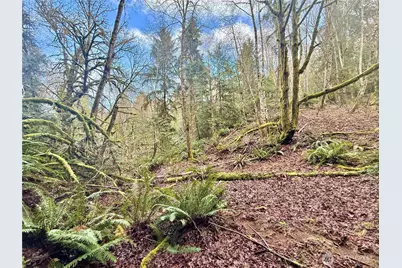 705 E Colonel Wright Road, Shelton, WA 98584 - Photo 35