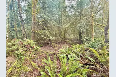 705 E Colonel Wright Road, Shelton, WA 98584 - Photo 33