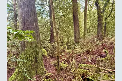 705 E Colonel Wright Road, Shelton, WA 98584 - Photo 23